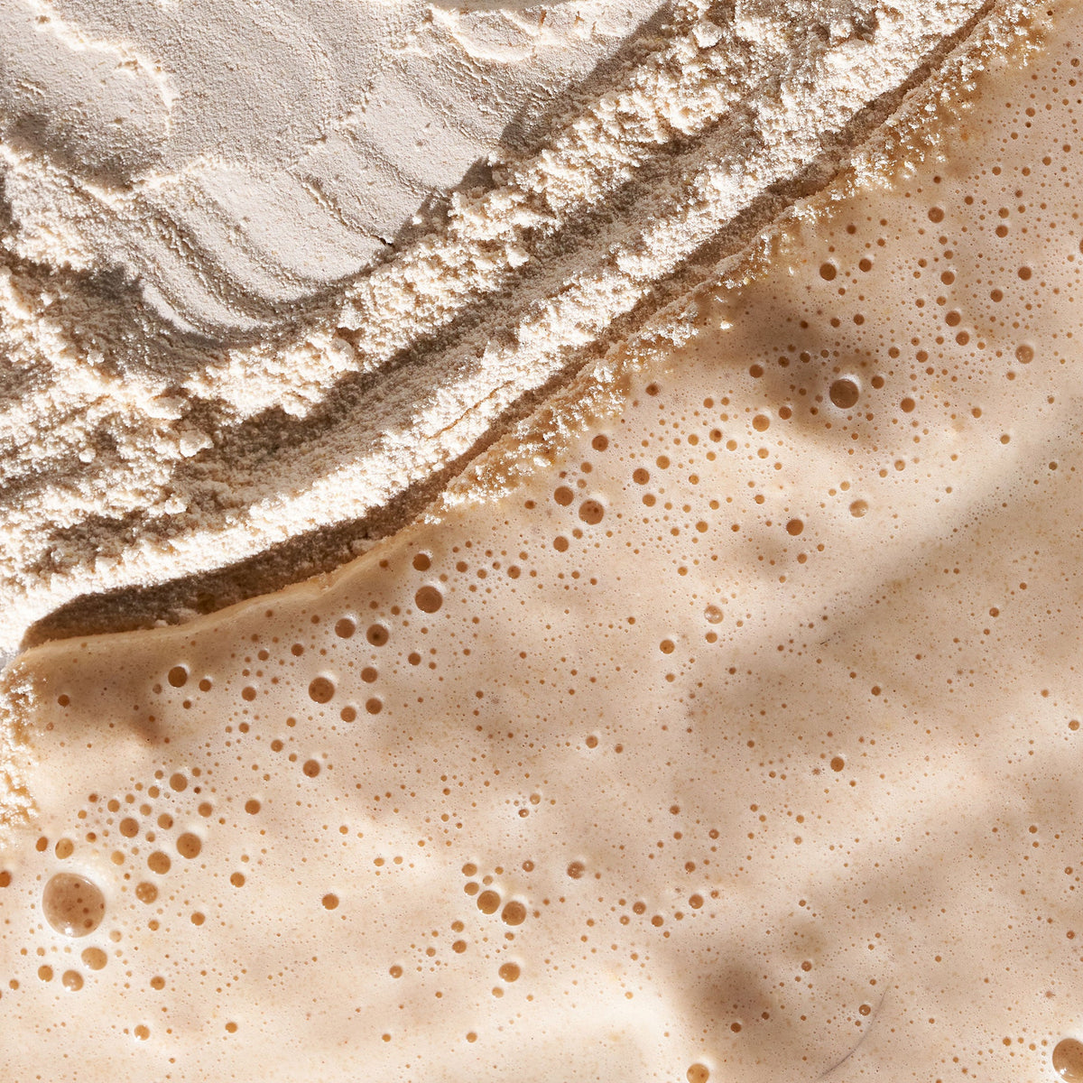 daily milkfoliant exfoliator
