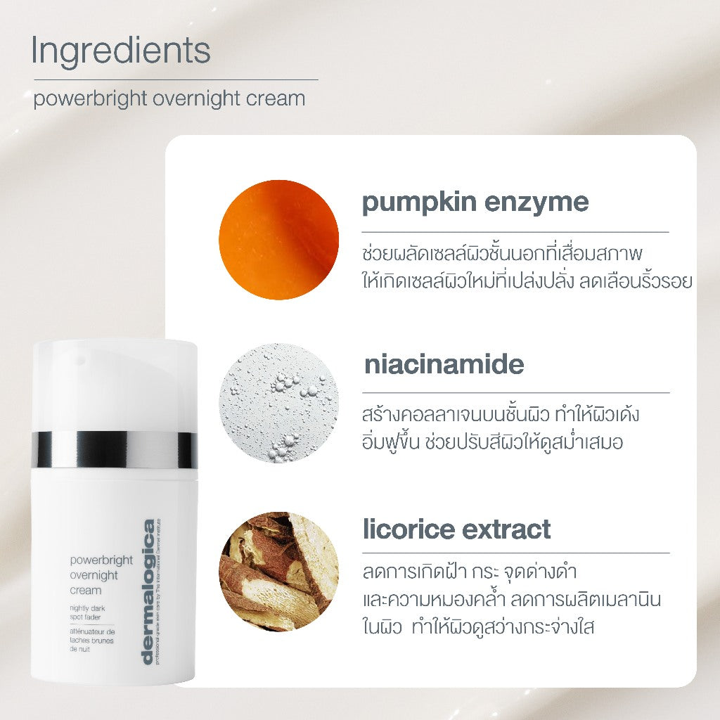 Dermalogica PowerBright Overnight Cream เดอร์มาลอจิกา พาวเวอร์ไบรท โอเวอร์ไนท์ครีม ลดฝ้า กระ จุดด่างดำ